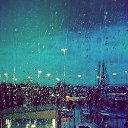 ���� ��������, ������, 44 ���� - ��������� 24 �������� 2014 � ������ ���� ����������