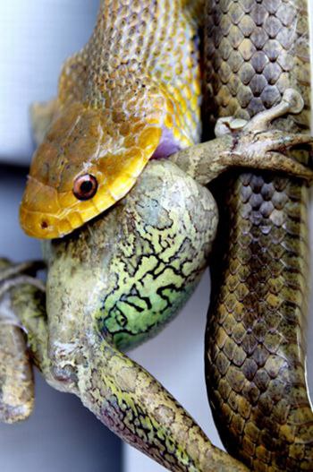 Подпишитесь, если понравилось!!! fotostrana.ru/public/237440/? А можно и отдать свой голос: ...