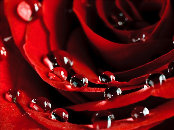 Sdelai busy iz kapel' rosy,. Ulybnis i oden' na zapyastye. Mne segodnya takie chasy,. ...