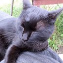 ���� � ���� �� ������.))) �� ������� ����, ��� � ����.�