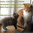 ���� �������, ��������-��-������, 48 ��� - ��������� 10 ������ 2014 � ������ ������ ��������