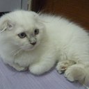 ���� �����, ������-��-����, 22 ���� - ��������� 8 ������ 2014 � ������ ���� ����������