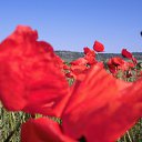  ,  -  7  2014    )))