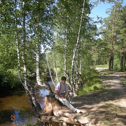 ��������, ������, 53 ����