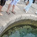 ���������� ����� �� ������� ����� ���� �� ���������� ����������������