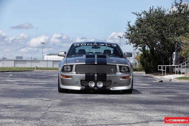 Ford Ronaele Mustang 550R - 2