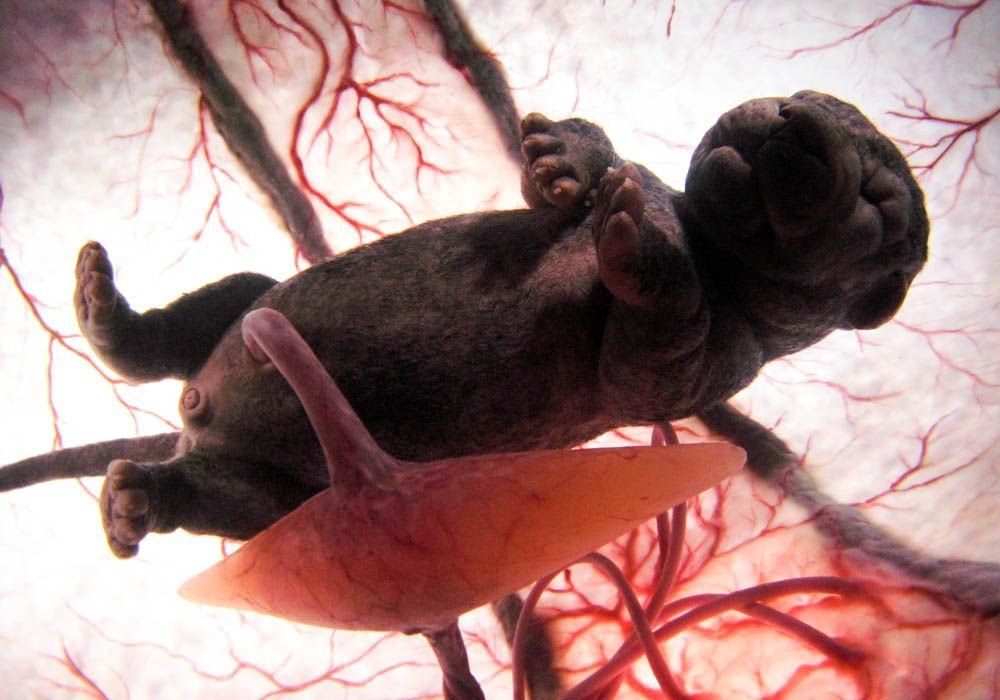  . National Geographic       ... - 8