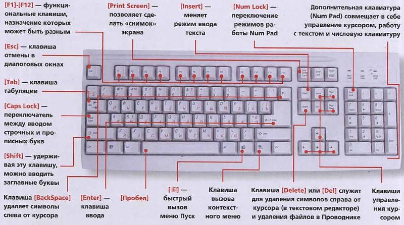 А вы знаете клавиатуру ? F1— вызывает «справку» Windows или окно помощи активной программы. В ...