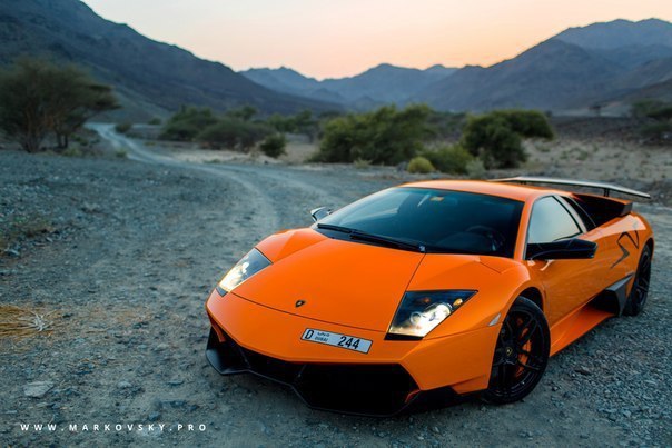 Lamborghini Murcielago LP670 Super Veloce.6.5L V12 ATMO: 670 .. : 660 ...