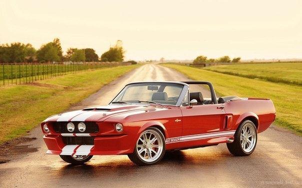 Ford Mustang Shelby GT500 CR