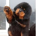 ���� ������, �����, 40 ��� - ��������� 26 ������ 2014 � ������ ���� ����������