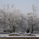 ���� ��������, �����-���������, 62 ���� - ��������� 21 ������ 2014 � ������ �������