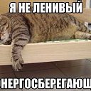 ���� Gala, ���� - ��������� 7 ������� 2014 � ������ ������ ��������