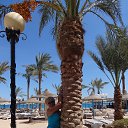 ������ 2014 �� ������� ���� ���� ߻