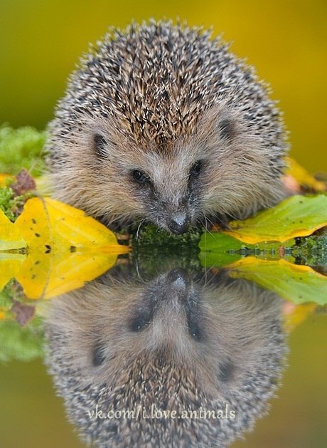   - 16  2014  14:47 - 4