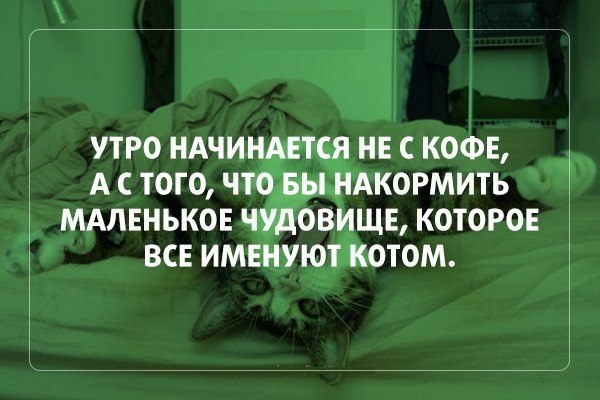  - 8  2014  23:27
