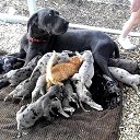 ���� ����������- ��� � ������., �����������, 58 ��� - ��������� 30 ������� 2014 � ������ ������ ��������