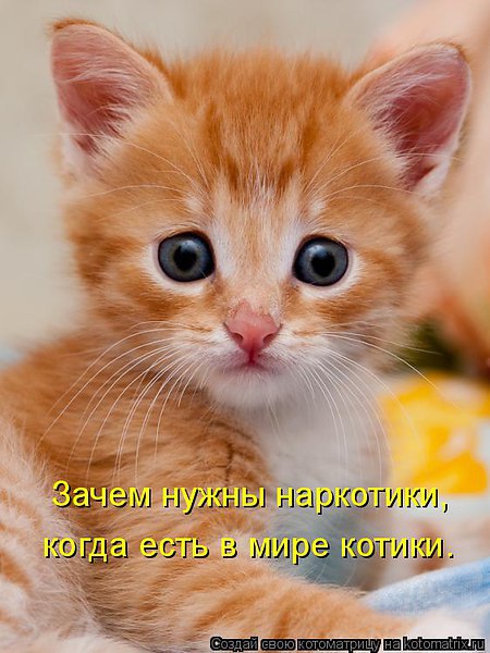 •°https://fotostrana.ru/away?to=/sl/68D2 - 3  2014  18:23