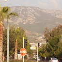 ���� �����, �������, 67 ��� - ��������� 10 ������� 2014 � ������ ���� ����������