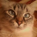 ���� ����, �����, 25 ��� - ��������� 5 ������� 2014 � ������ ���� ����������