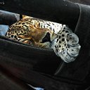 ���� Juriy, ����, 64 ���� - ��������� 10 ������� 2014 � ������ ���� ����������