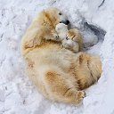 ���� ��������, ����� - ��������� 26 �������� 2014 � ������ ������ ��������