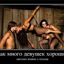 ���� �������, ��������, 59 ��� - ��������� 30 ������� 2014 � ������ ������ ��������