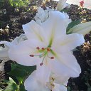 ���� �������, ���������, 55 ��� - ��������� 22 �������� 2014 � ������ ������ ��������