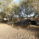  , , 60  -  8  2014    - - !