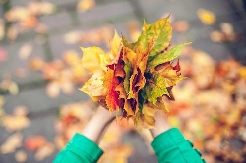   ,     .  ,   .   ,  ...