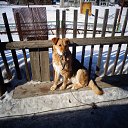 ���� �����, ���, 45 ��� - ��������� 14 ������ 2014 � ������ ������ ������