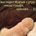  ,  -  23  2014   ,  !...