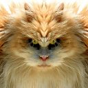 ���� Andru, �����, 40 ��� - ��������� 20 ������ 2014 � ������ ���� ����������