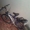 ���� �������, ������������, 51 ��� - ��������� 10 ������� 2014 � ������ ������ ��������