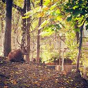 ���� ���������, �������, 45 ��� - ��������� 18 ������� 2014 � ������ �BELARUS�