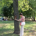 ���� �������� � ������ ��. ��������, 2014 �� ������� ���� ����������