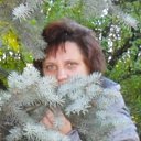 ���� �����, �����-��������� - ��������� 15 ������ 2014 � ������ ���� ����������