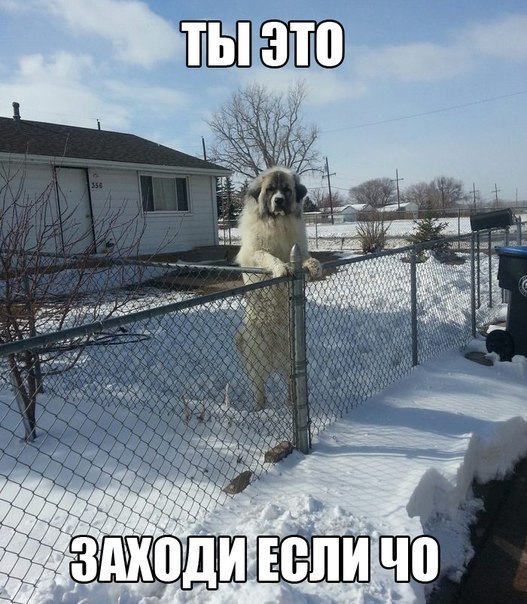 - 18  2014  19:08