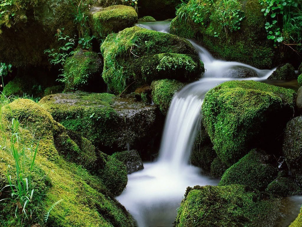   - (Parque Nacional da Peneda-Gers),     ... - 3