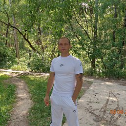 �������, ������, 46 ���