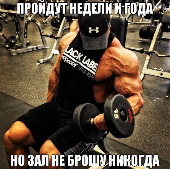 SportFeed - 1  2014  20:05