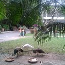  ,  -  4  2014    2014