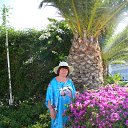 ���� �������, ����� - ��������� 1 �������� 2014 � ������ ������ 2014 ���