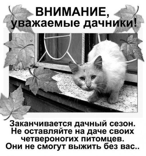  ,    . ,       ... - 2