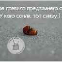 ���� �������, �����-��������� - ��������� 14 ������ 2014 � ������ ������ ��������