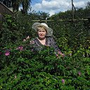 ���� �������, �������, 70 ��� - ��������� 15 ������ 2014 � ������ ���� ����������