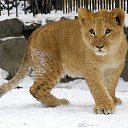 ���� ���������, ��������� - ��������� 27 ������� 2014 � ������ ������ ��������