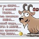 ���� �������, ������, 45 ��� - ��������� 25 ������ 2014 � ������ ������ ��������