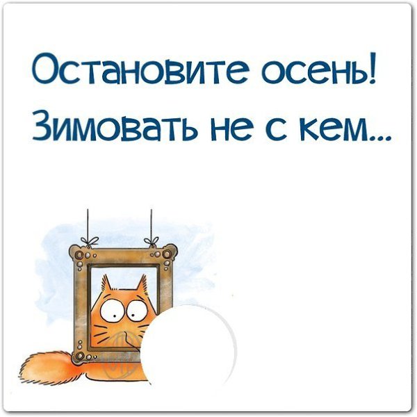   - 11  2014  12:16