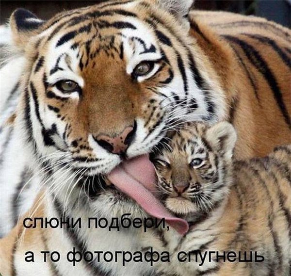 --
